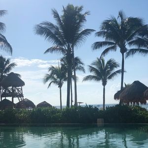 Meet your Posher, Sienna